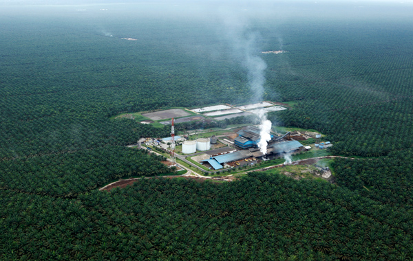 Sinergi Agro Officially Announced the Building of POF